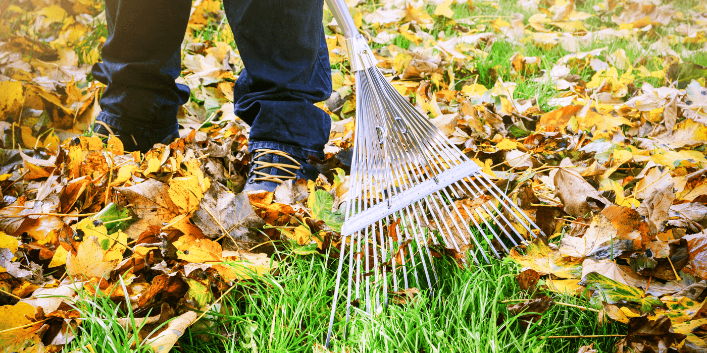 6 Fall Maintenance Tips for Homeowners Featured Image