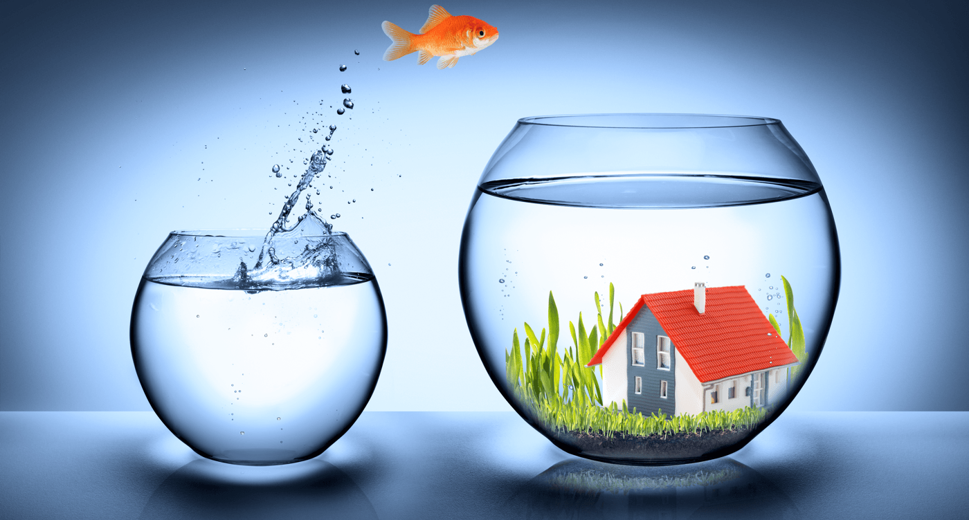 4 Tips for Upgrading to a New Home Fish Bowl image