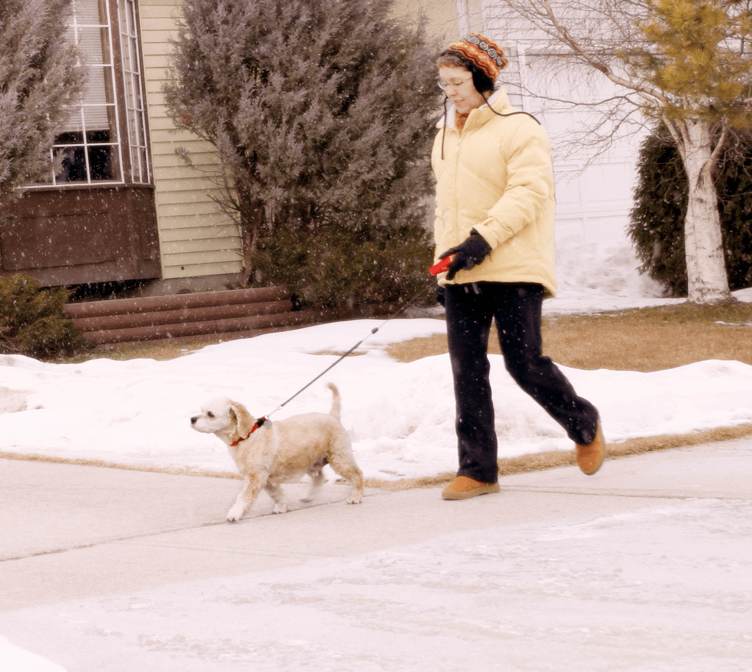 Our Top Dos and Don’ts for Getting Rid of Ice Around Your Home Walking Dog Image