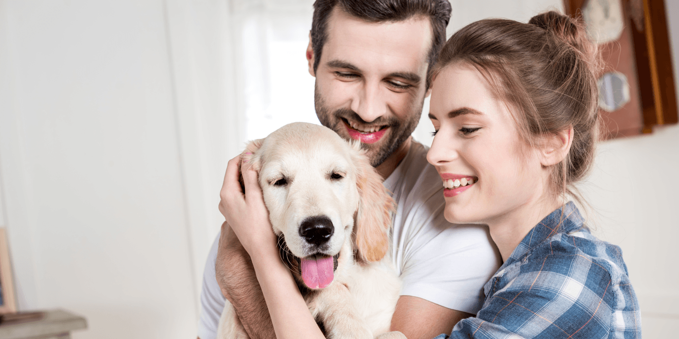 Ways to Make Your Home a Happier Place Puppy Image